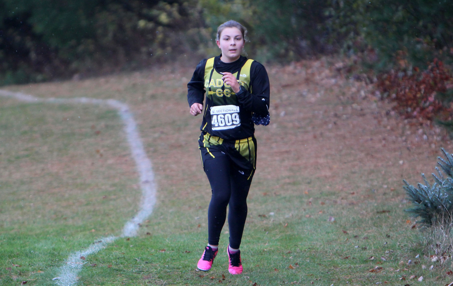 Division 3 Cross Country Sub-Sectional at Colfax 10-19-20